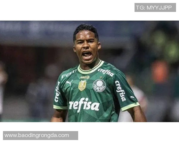 巴西足球明星的黑暗面揭示与排名分析 巴西足球明星的黑暗面揭示与排名分析